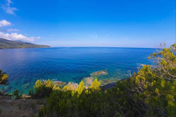 Residenza Le Tartarughe