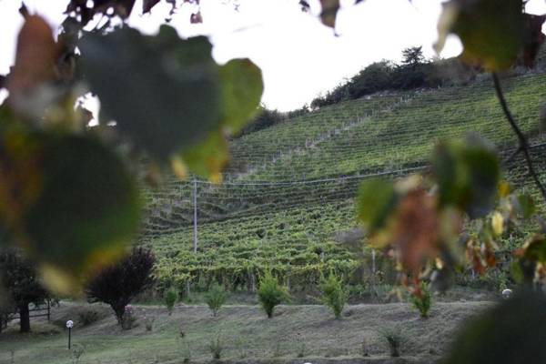 Eno-Agriturismo Cascina L'Arché