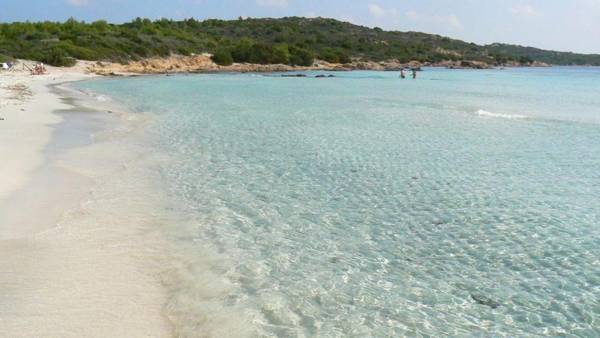 Appartamento il Sole - 764592