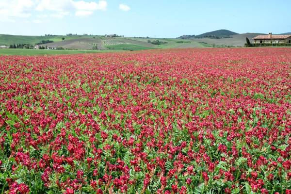Agriturismo L'impero