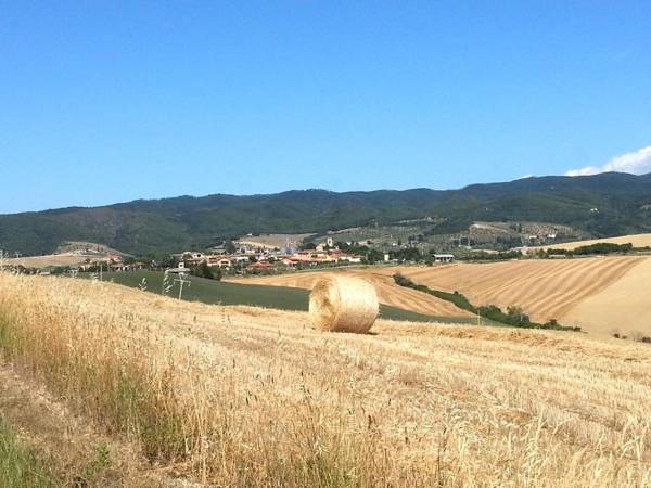 Residence Giuly Rosselmini