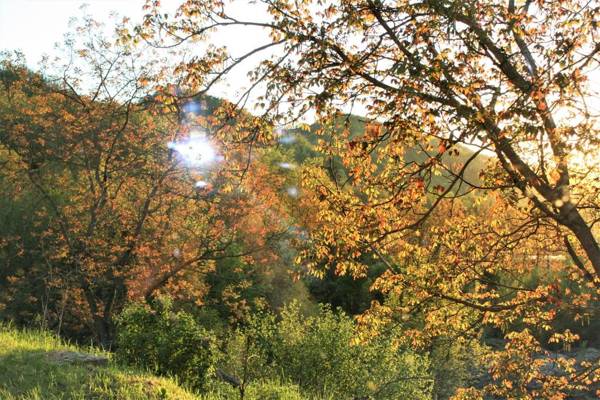 Agriturismo Malvista