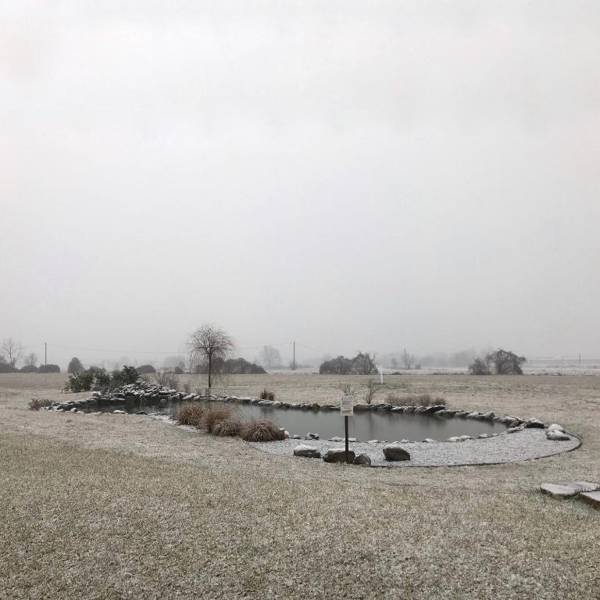 Agriturismo Bassanine