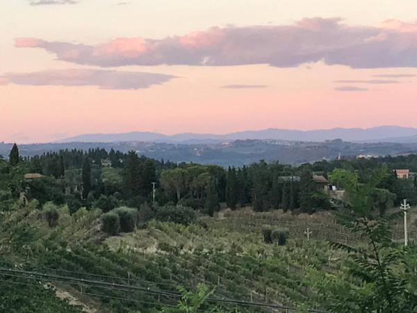 Il Vicario-Podere di Monti