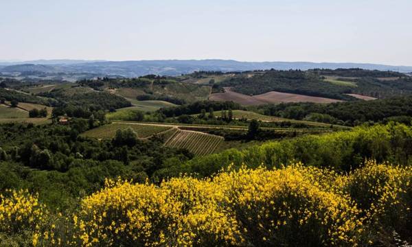 Il Borghetto Tuscan Holidays