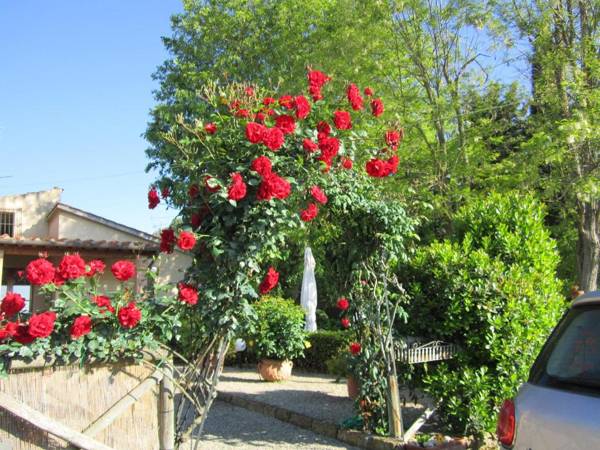 Agriturismo Il Colto