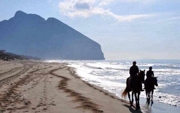 Le Beccacce Casa Vacanze