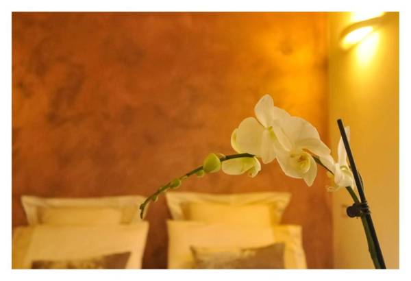 Bed & Books il Campanile