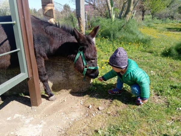 Agriturismo Poggio Ferrata