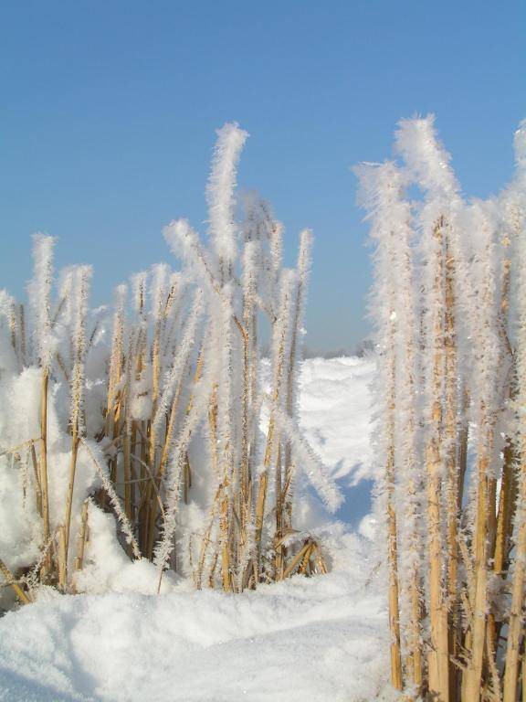 Agriturismo Le Risaie