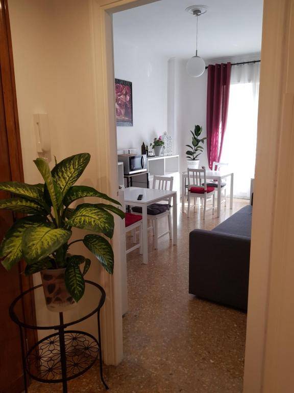 Rose Antiche Vatican B&B