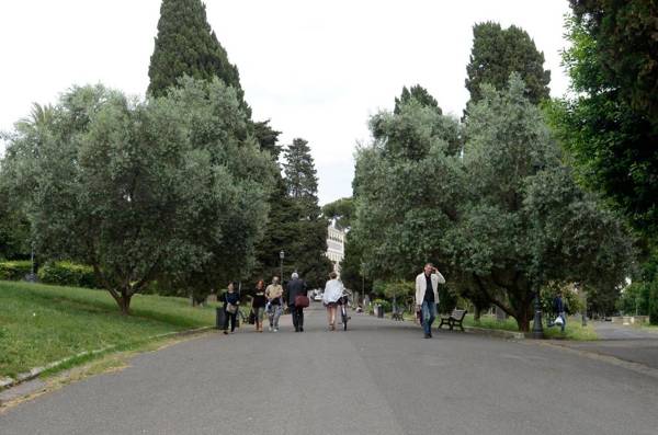 MECENATE DELUXE COLOSSEUM