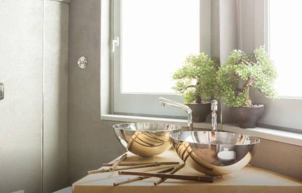 Bonsai Navona Deluxe