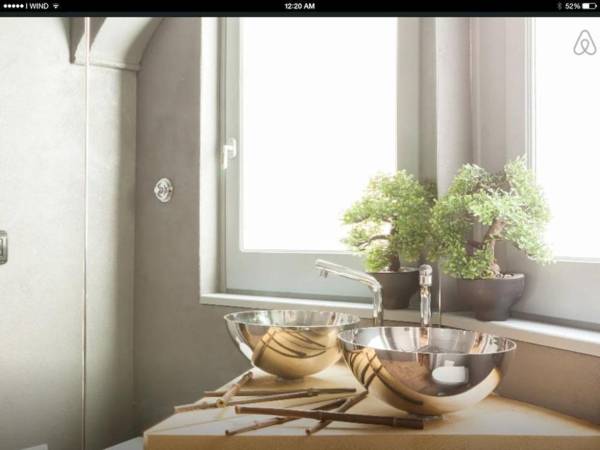 Bonsai Navona Deluxe