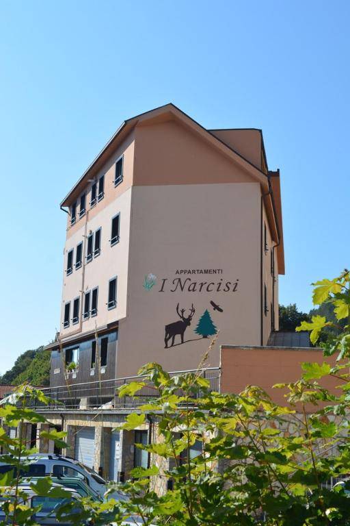 I Narcisi