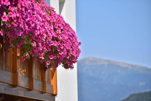 Apartment Arnika Schönblick