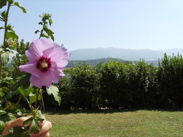 Agriturismo La Querce