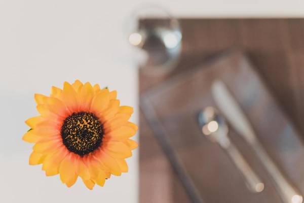 Trip Room & Breakfast