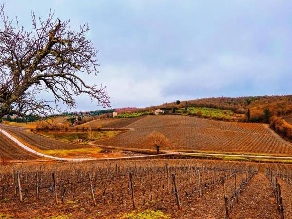 LOCANDA PODERE LE VIGNE