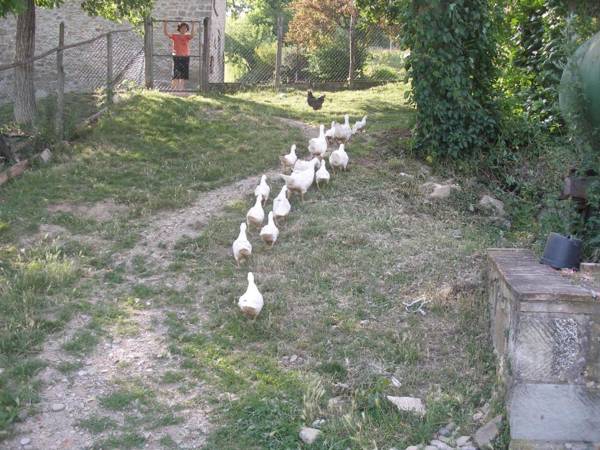 Agriturismo Podere Fiume