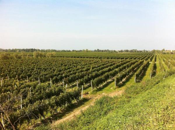 CASCINA TABACHERA x10 Vineyard House - GARDA LAKE