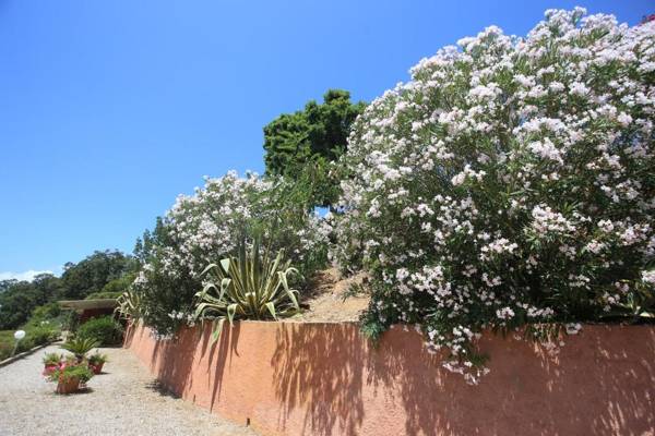 Ca' La Stella Sea-view Apartments