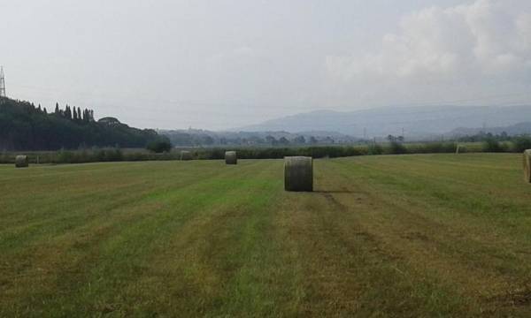 Alice's room by Casolare Isabella