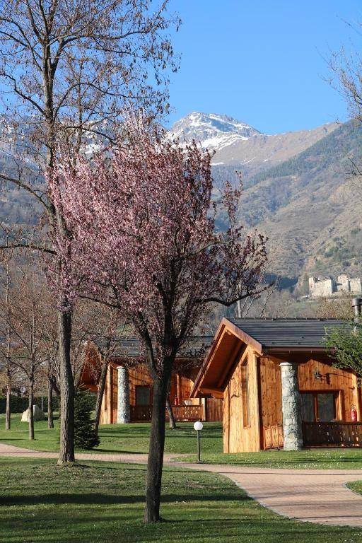 Lazy Bee Camping Village