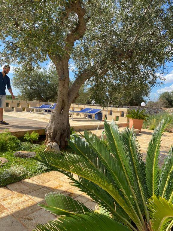 PUGLIAHOLIDAYPLUS-La Torretta