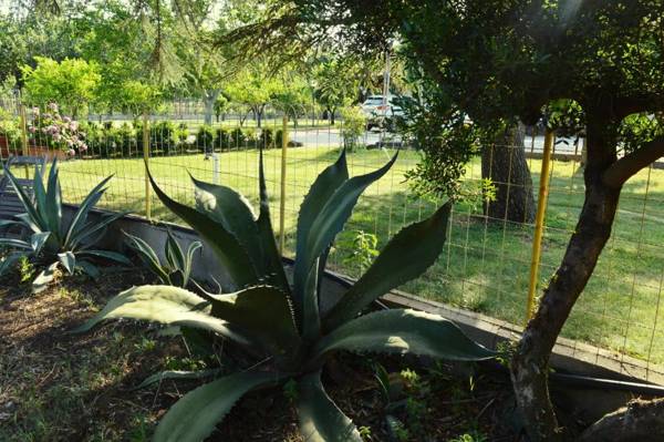Villa Irene Pisticci-Matera