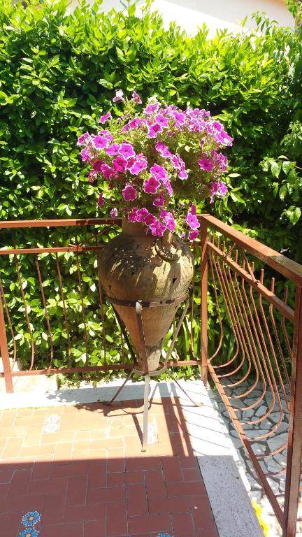 La Bouganville e Il Gelsomino