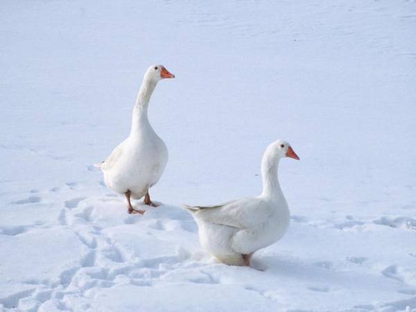 Agriturismo Santa Maria