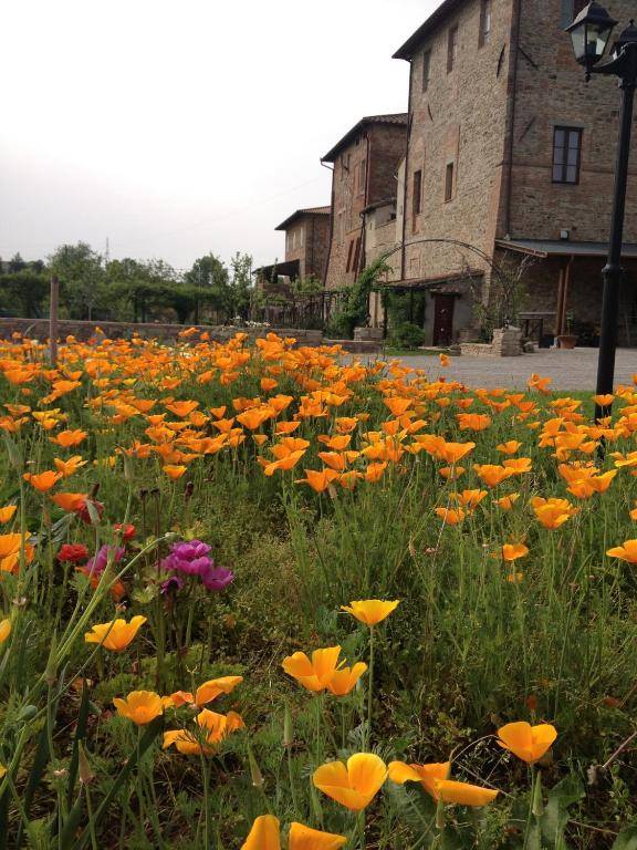 Abbazia Sette Frati Agriturismo Fratres