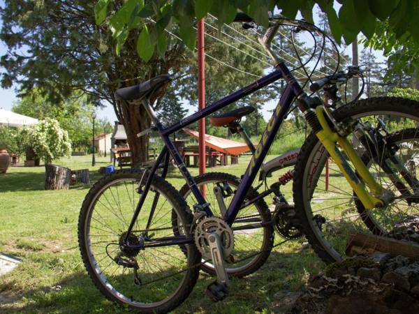 Modern Holiday Home in Pietrafitta Umbria with Garden