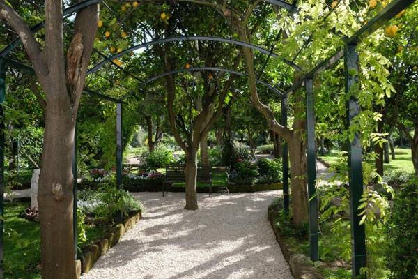 Majestic Palace Hotel