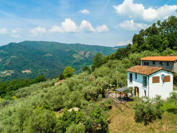 Idyllic Holiday Home in Pescia with Swimming Pool