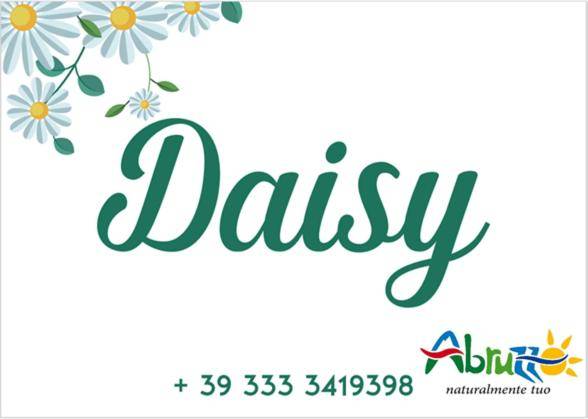 Daisy