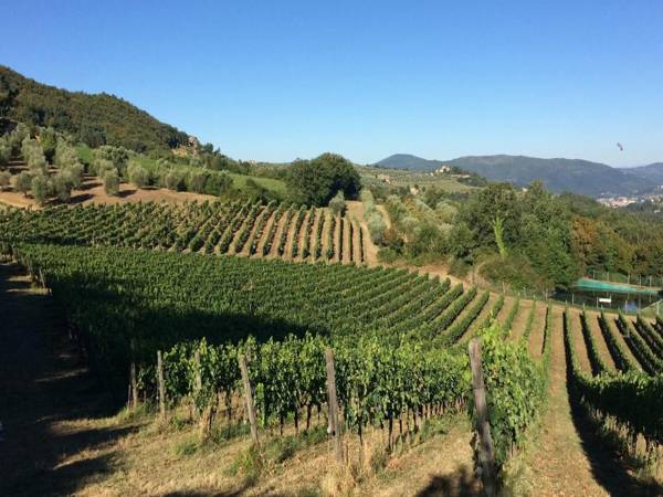 Agriturismo Il Trebbio