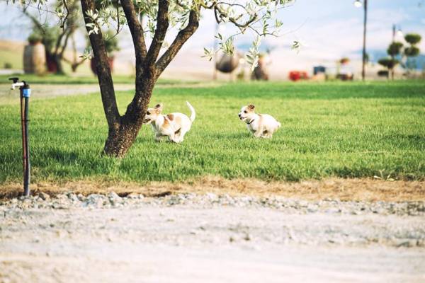 Agriturismo Biologico Diacceroni