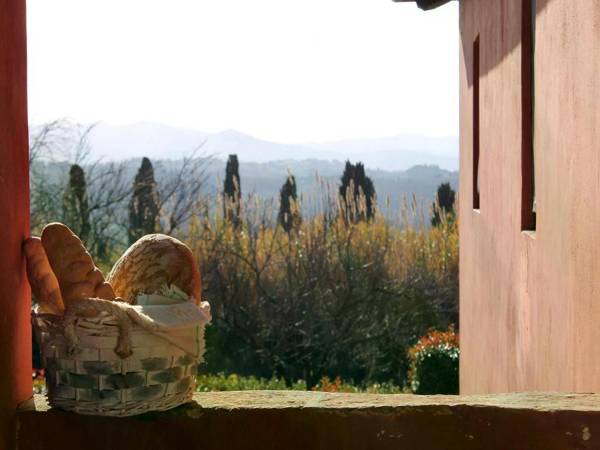 Farmhouse in large garden with private pool on the hills of Pisa