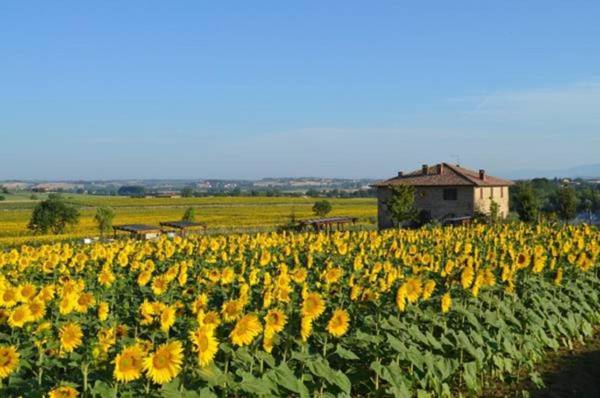 Podere Molinaccio