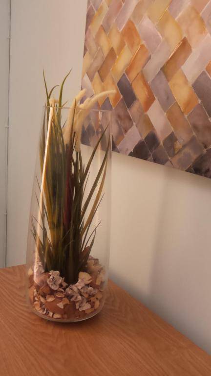 BB4U Apartments and Terrace