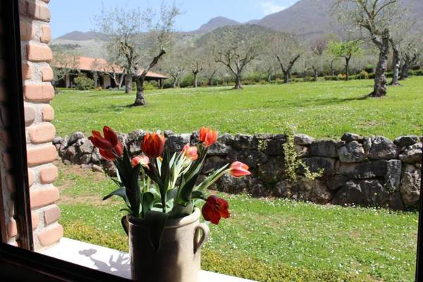 Agriturismo IL CASTAGNETO