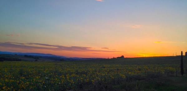 Fontegirasole - a Fontanaro Property