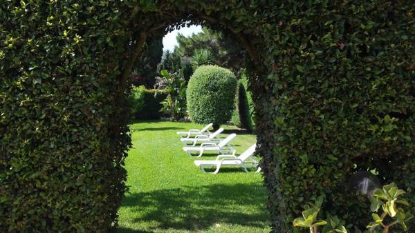 Sole del Mediterraneo