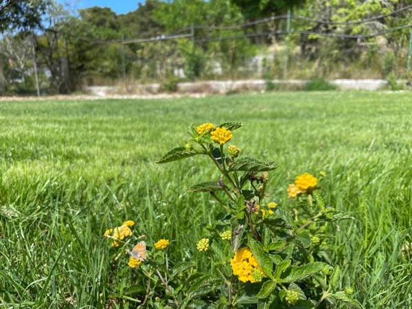 Villa Anna Maria Otranto