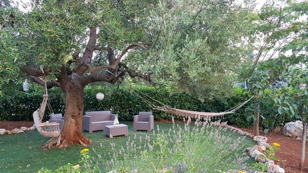 B&B All'ombra degli ulivi