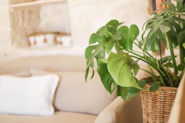 Trulli & Dimore - I Trulli di Carole