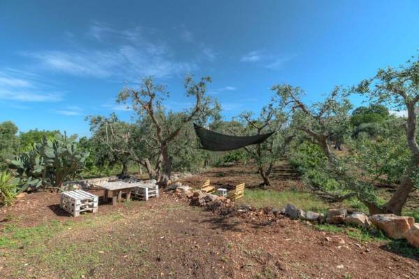 Trullo Paan by Typney