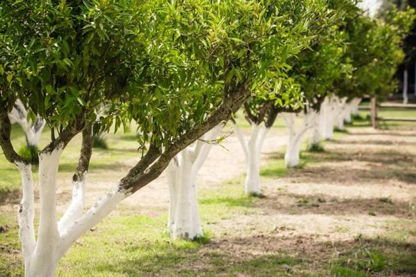 Agriturismo Archelao